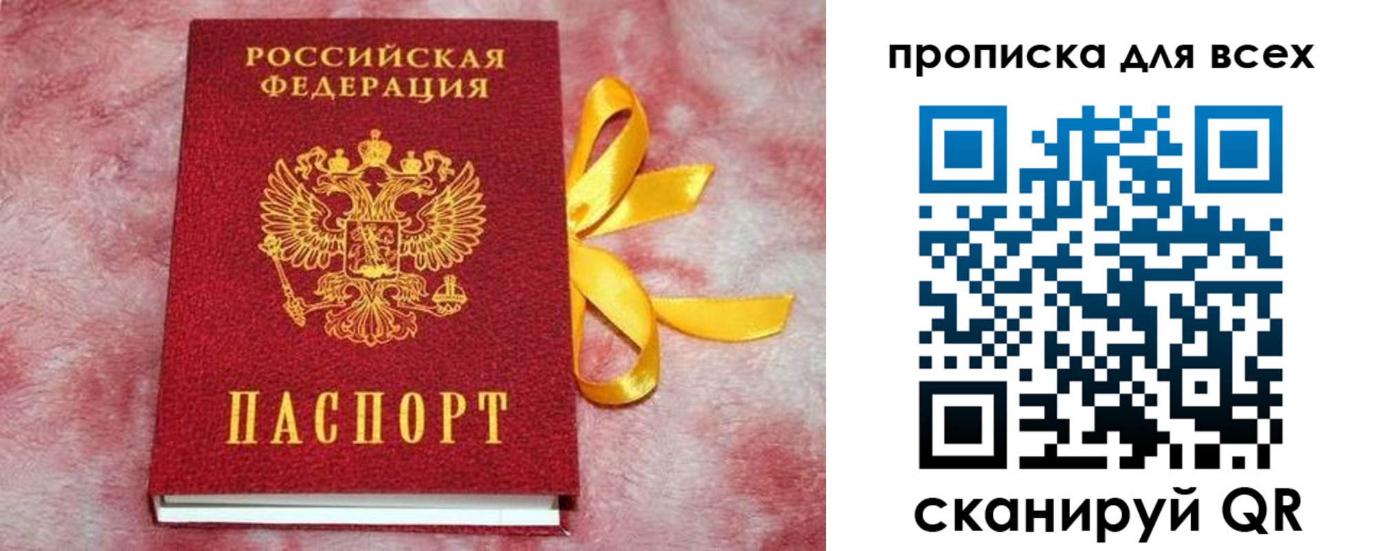 прописка для школы в Прохладном